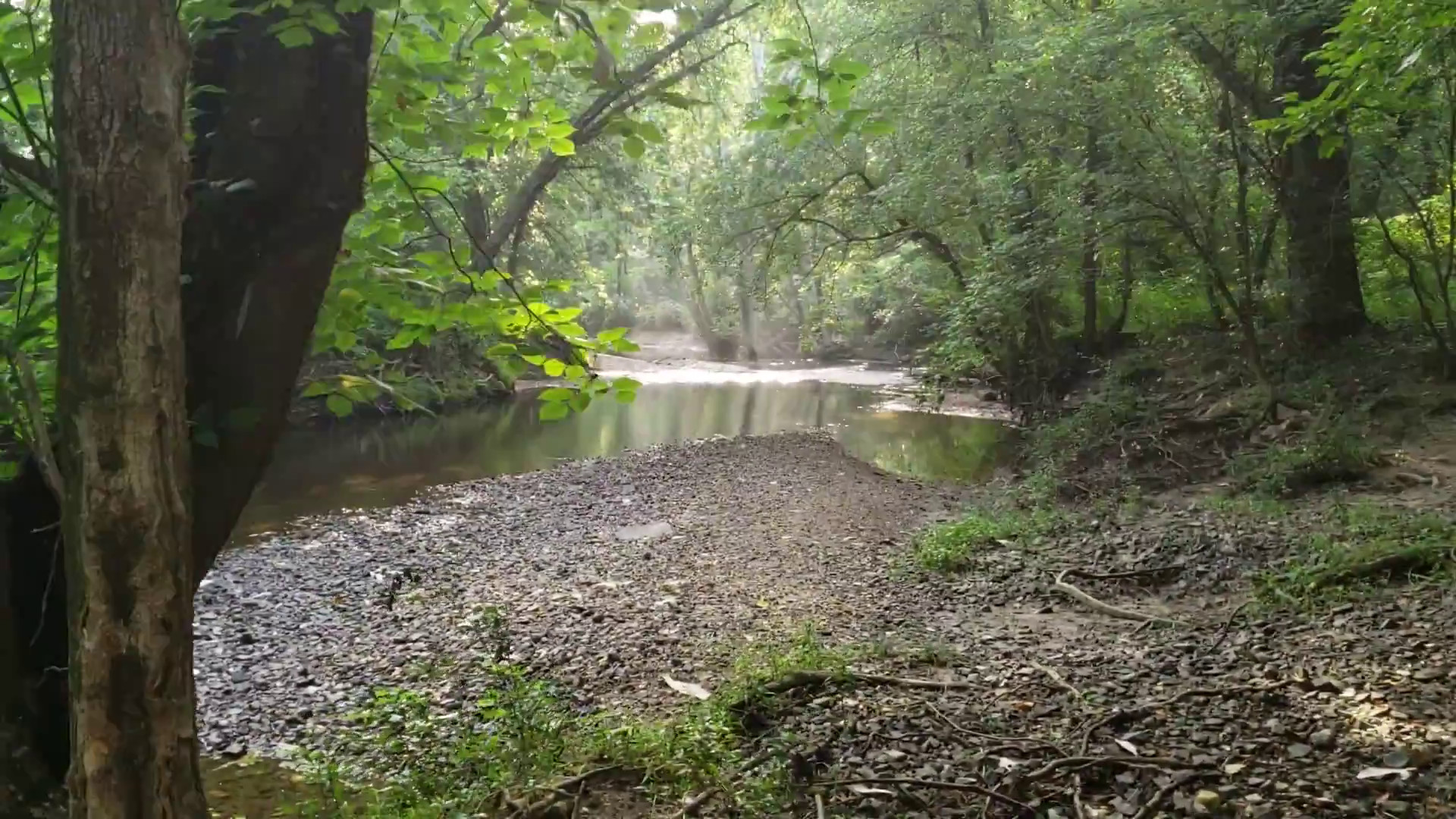 20180704_082914.mp4